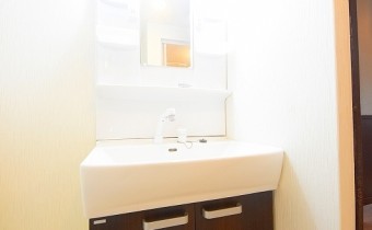 シャンプードレッサー