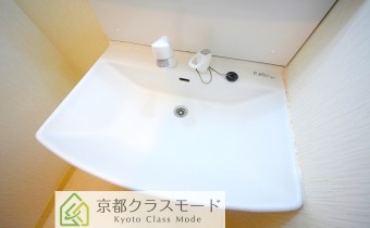 シャンプードレッサー