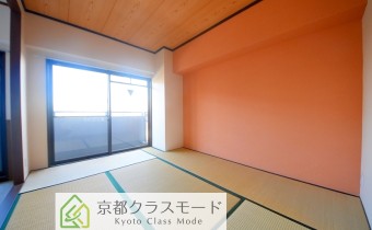 和6