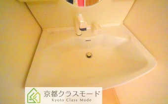 シャンプードレッサー