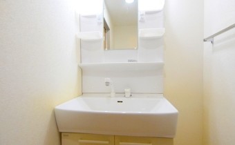シャンプードレッサー