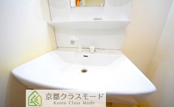シャンプードレッサー