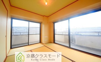 和6
