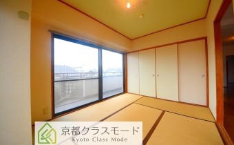 和6
