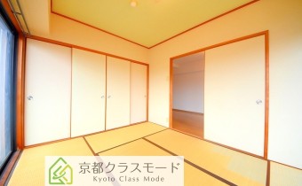 和6