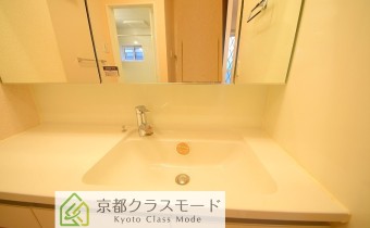 シャンプードレッサー
