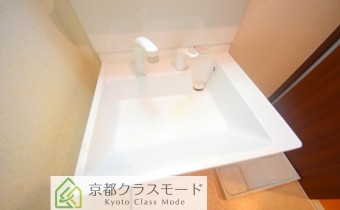 シャンプードレッサー
