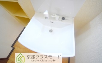 シャンプードレッサー