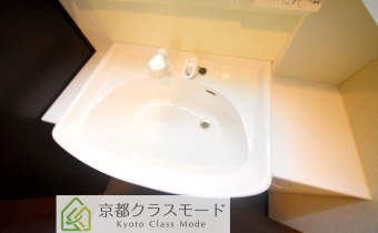 シャンプードレッサー