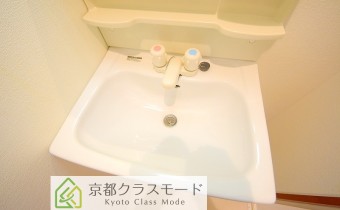 シャンプードレッサー