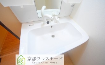 シャンプードレッサー