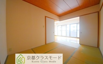 和6