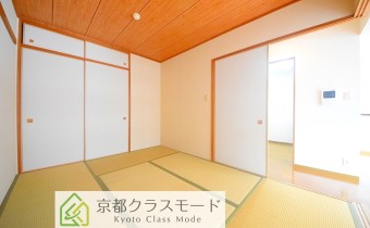 和6