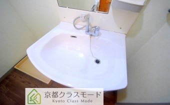 シャンプードレッサー