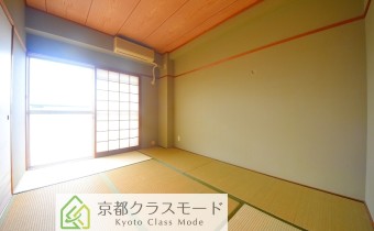 和6