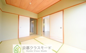 和6