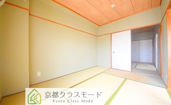 和6