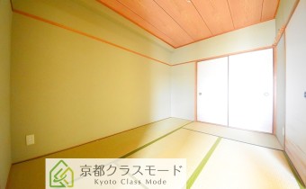 和6