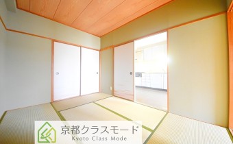 和6