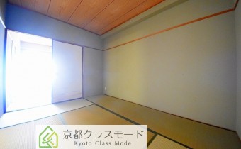 和6