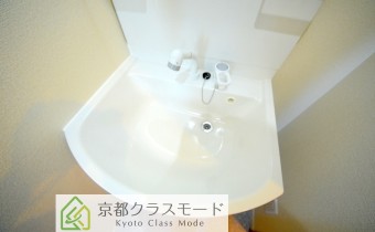 シャンプードレッサー