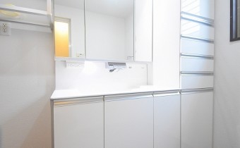 シャンプードレッサー