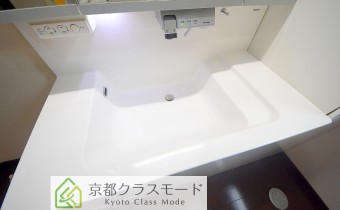 シャンプードレッサー
