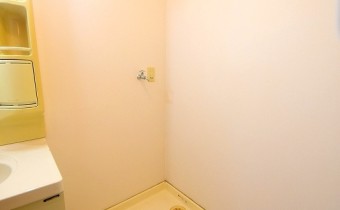 室内洗濯機置場＊画像は同タイプ102号室のものです。