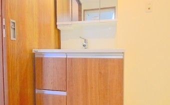 シャンプードレッサー