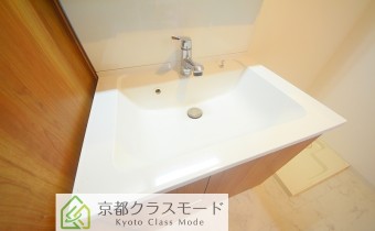 シャンプードレッサー