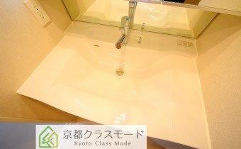 シャンプードレッサー