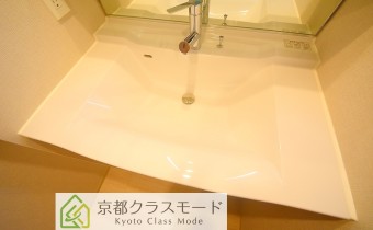 シャンプードレッサー