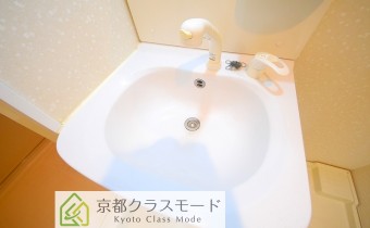 シャンプードレッサー