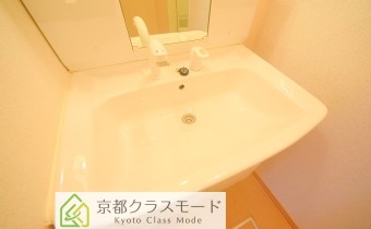シャンプードレッサー