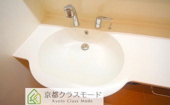 シャンプードレッサー