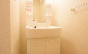 シャンプードレッサー