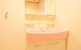 シャンプードレッサー