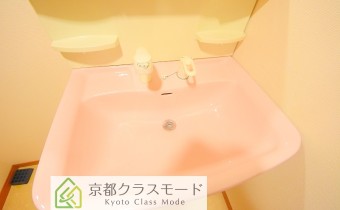 シャンプードレッサー