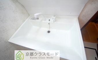 シャンプードレッサー