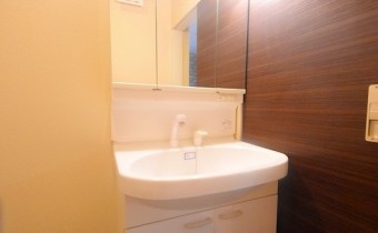 シャンプードレッサー