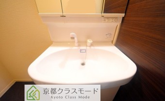 シャンプードレッサー