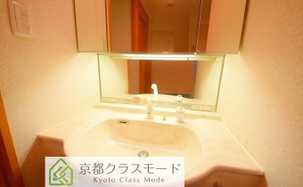 シャンプードレッサー