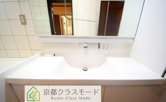 シャンプードレッサー