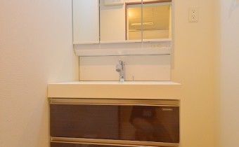 シャンプードレッサー