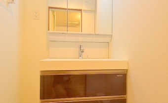 シャンプードレッサー