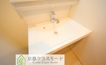 シャンプードレッサー