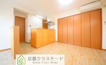 Room 11.5