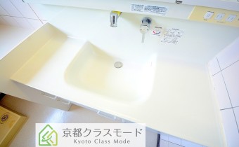 シャンプードレッサー