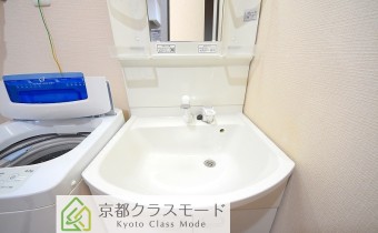 シャンプードレッサー