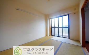 和6